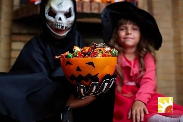 Con vật nào thường liên tưởng xui xẻo Halloween? Khám phá bí ẩn! Trang trí Halloween với các con vật biểu tượng