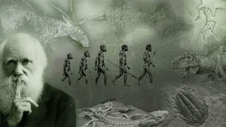 Ai là người đưa ra khái niệm chọn lọc tự nhiên? Tranh vẽ Charles Darwin và Alfred Russel Wallace