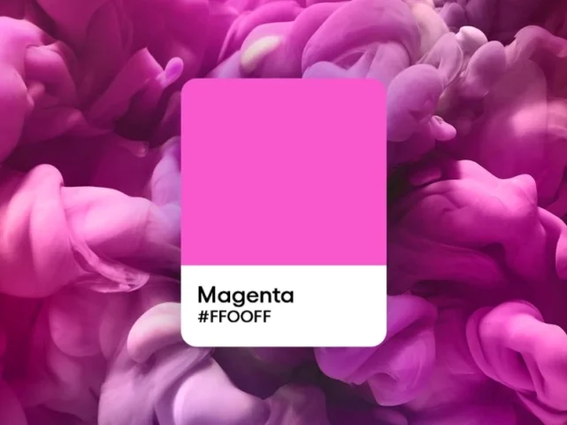 Màu Magenta Là Màu Gì? Khám Phá Chi Tiết Ý Nghĩa & Ứng Dụng 2026 Ứng dụng màu magenta trong nội thất