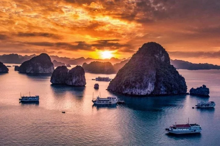 Kỳ Quan Thiên Nhiên Việt Nam: Khám Phá Di Sản Thế Giới Hấp Dẫn Vẻ đẹp Vịnh Hạ Long về đêm
