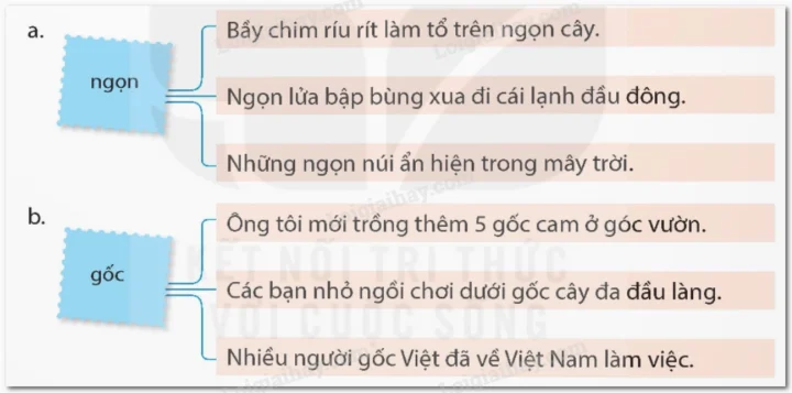 Ví dụ về nghĩa chuyển trong câu