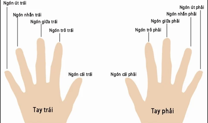 Ý nghĩa đeo nhẫn ngón cái nữ
