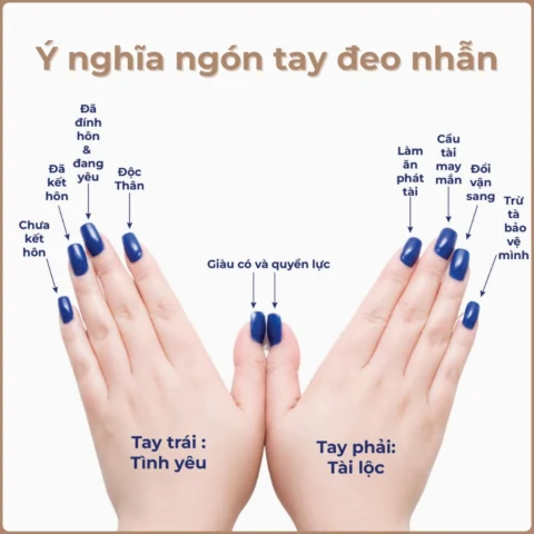 Ý Nghĩa Ngón Tay Đeo Nhẫn Của Nữ: Giải Mã Tình Yêu & Vận Mệnh 2026 Ý nghĩa nhẫn ngón cái nữ